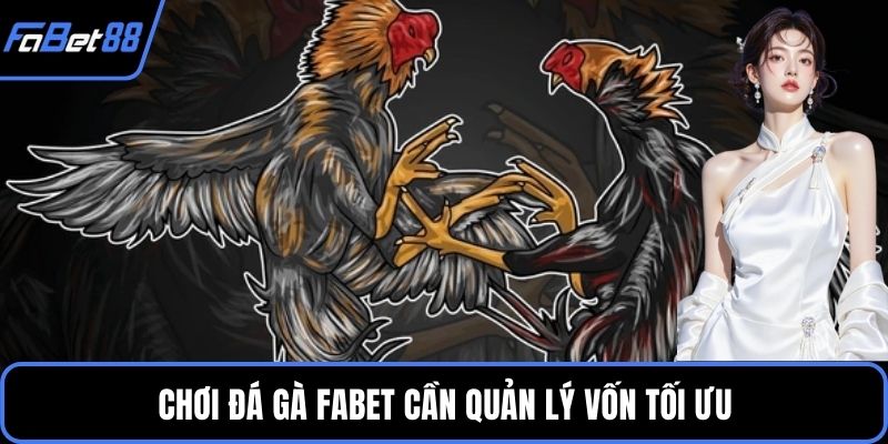 Tổng hợp về điểm đến giải trí cực đỉnh trên hệ thống