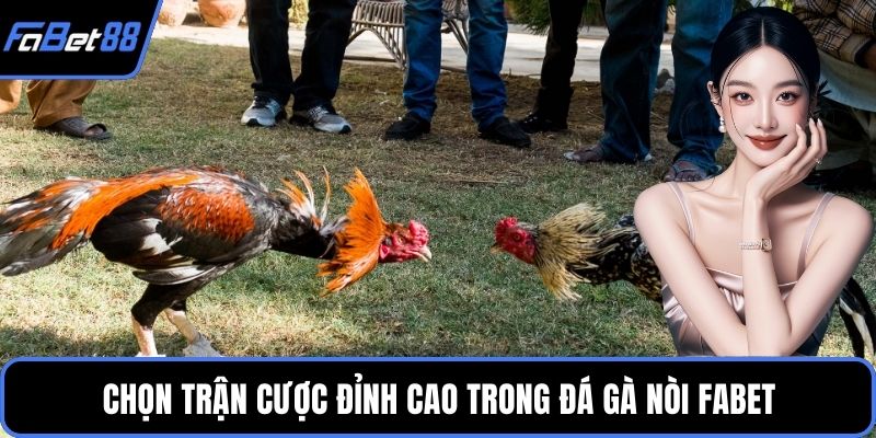 Chọn trận cược đỉnh cao trong đá gà nòi FABET