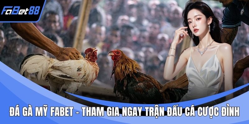 Đá Gà Mỹ FABET