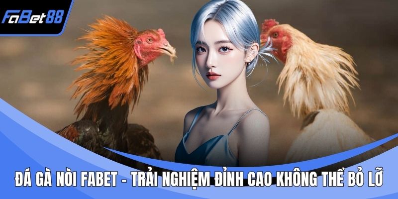 Đá Gà Nòi FABET