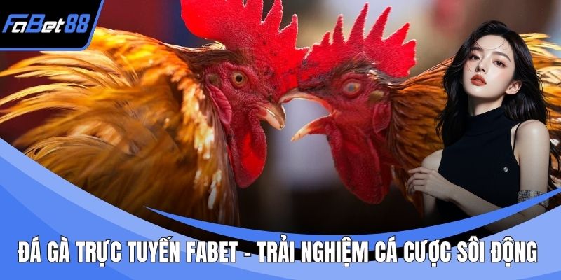 Đá Gà Trực Tuyến FABET
