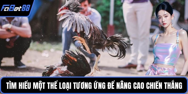 Tìm hiểu một thể loại tương ứng để nâng cao chiến thắng
