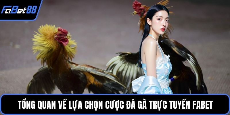 Tổng quan về lựa chọn cược Đá gà trực tuyến FABET