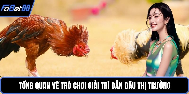 Tổng quan về trò chơi giải trí dẫn đầu thị trường