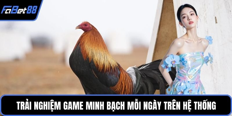 Trải nghiệm game minh bạch mỗi ngày trên hệ thống