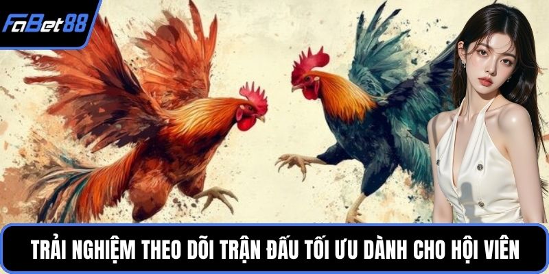 Trải nghiệm theo dõi trận đấu tối ưu dành cho hội viên